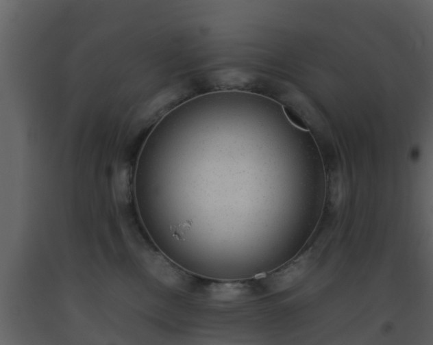X0000093530378200710191358