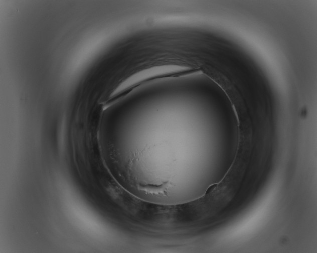 X0000093530382200710191358