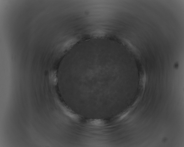 X0000093530383200710191358