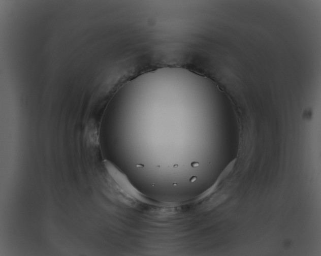 X0000093530384200710191358