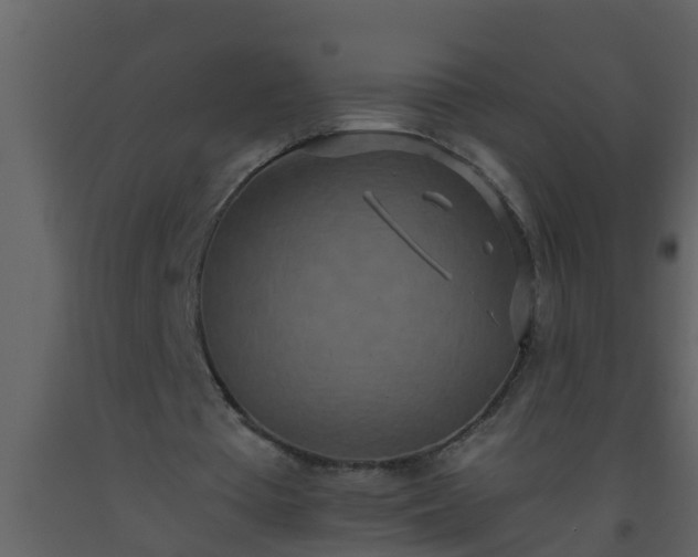 X0000093530385200710191358