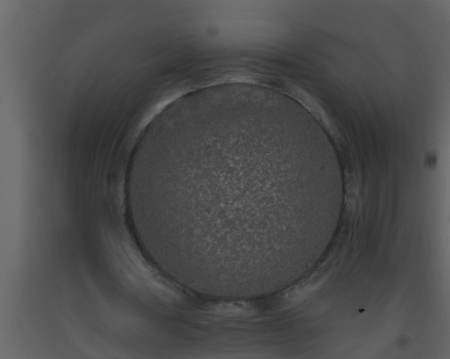 X0000093530386200710191358