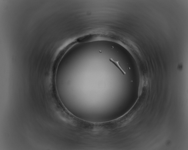 X0000093530388200710191358