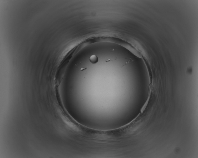 X0000093530389200710191358