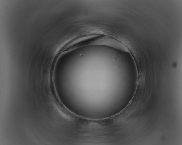 X0000093530390200710191358
