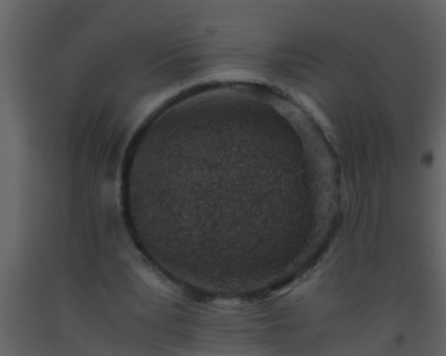 X0000093530391200710191358