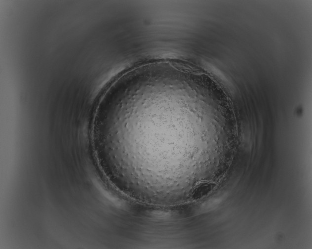 X0000093530394200710191358