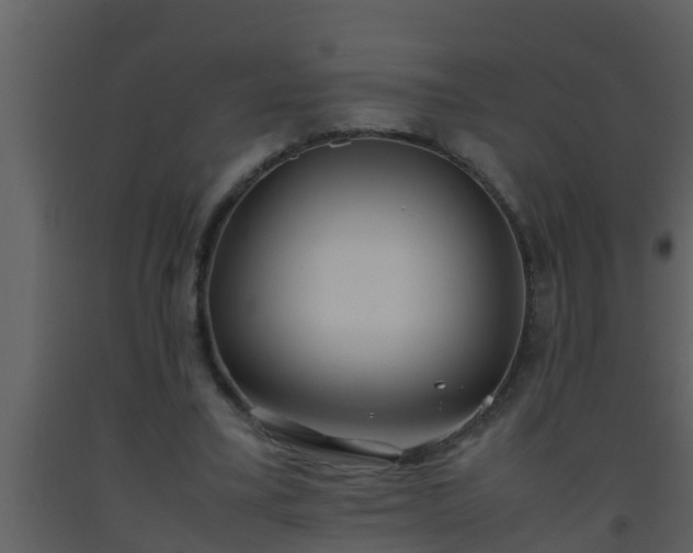 X0000093530395200710191358