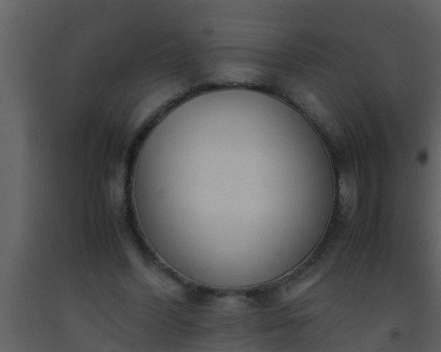 X0000093530396200710191358