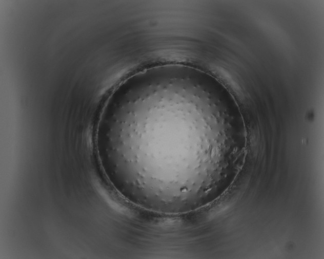 X0000093530398200710191357