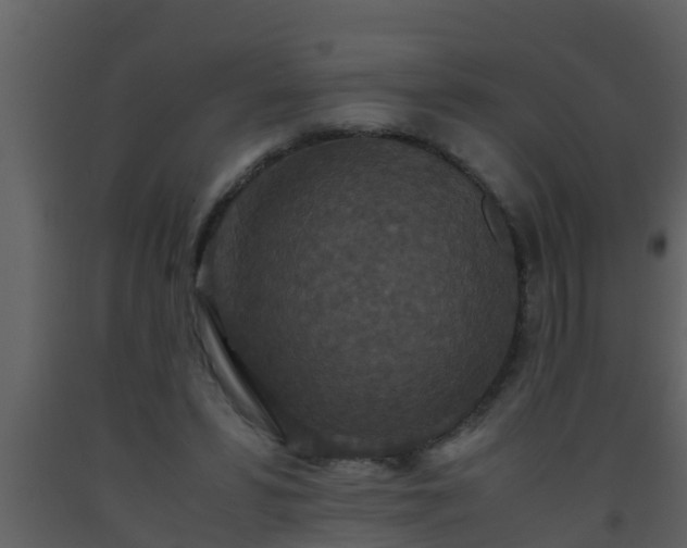X0000093530399200710191357