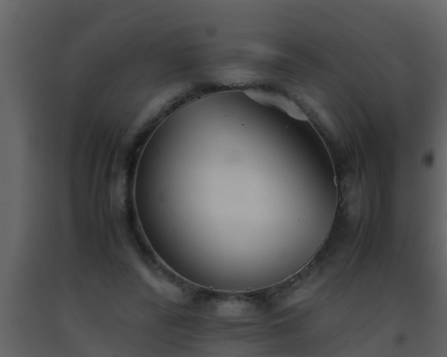 X0000093530400200710191357