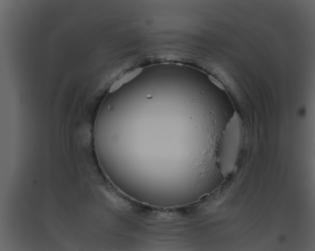X0000093530401200710191357
