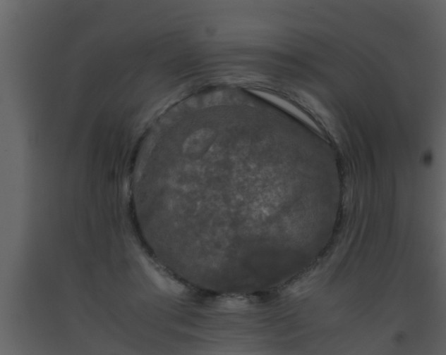 X0000093530405200710191357