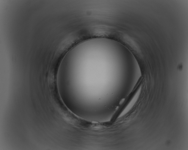 X0000093530407200710191357