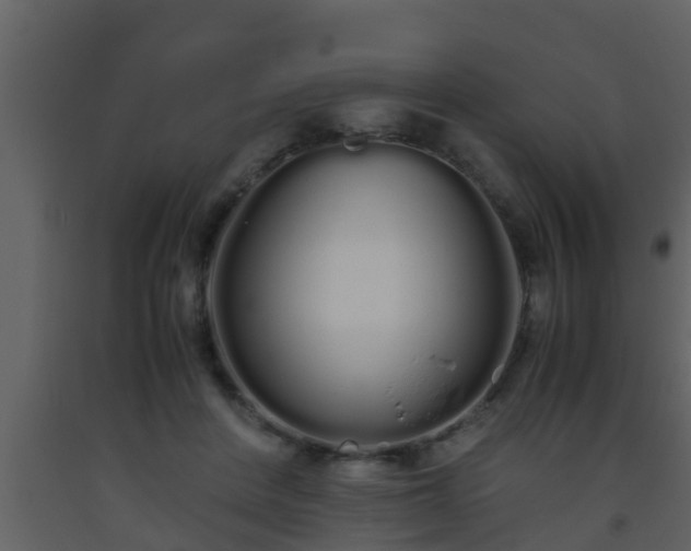 X0000093530408200710191357