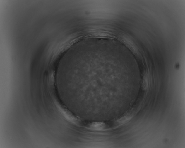 X0000093530410200710191357