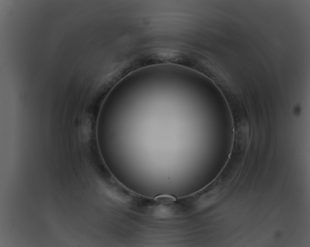 X0000093530412200710191357