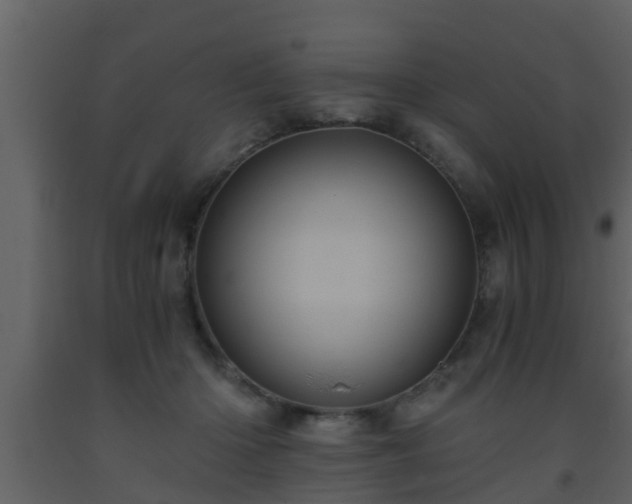 X0000093530414200710191357