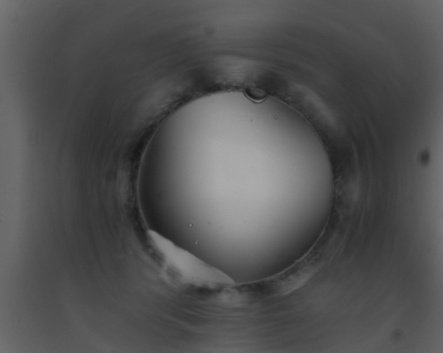 X0000093530416200710191357