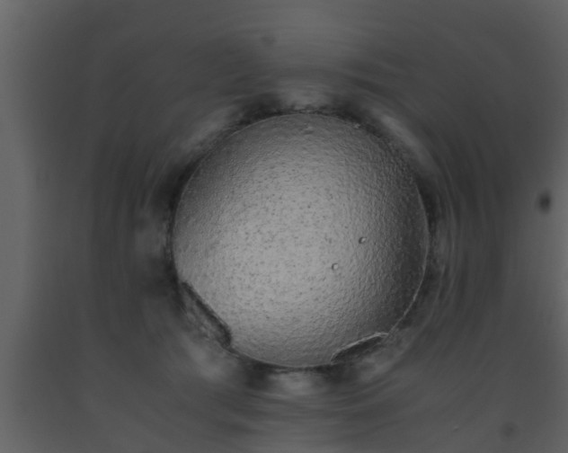 X0000093530417200710191357