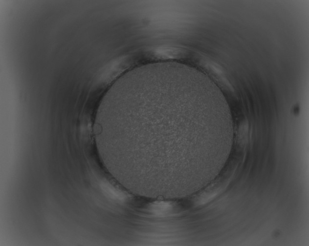 X0000093530418200710191357