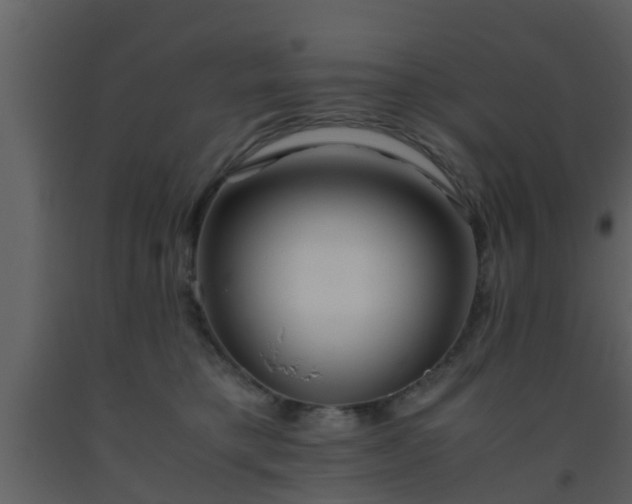 X0000093530421200710191357