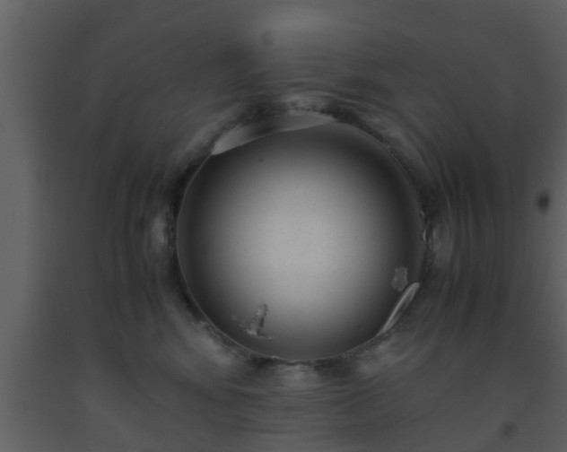 X0000093530424200710191357