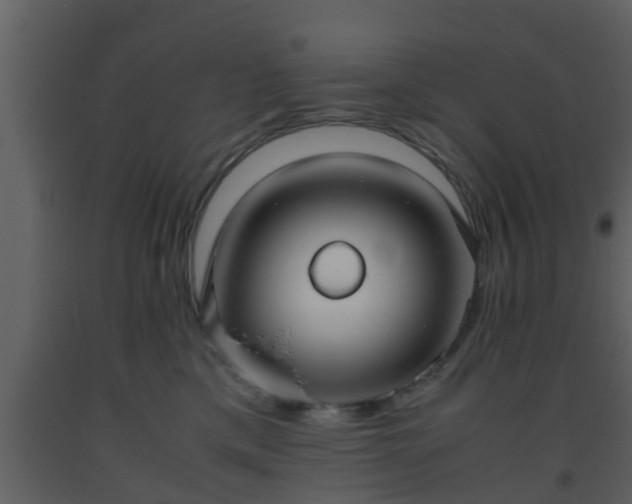 X0000093530425200710191357