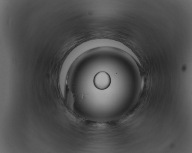 X0000093530428200710191357