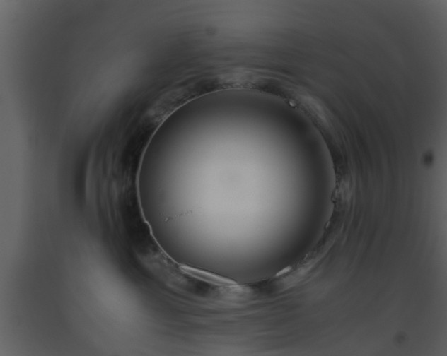 X0000093530429200710191357