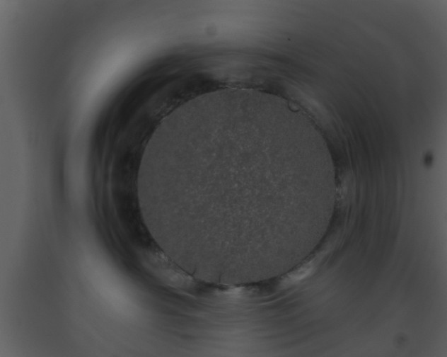X0000093530430200710191357