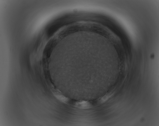 X0000093530431200710191357