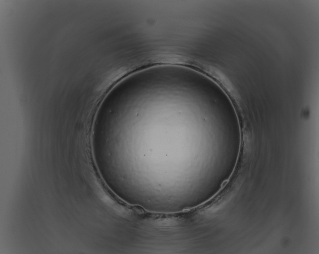 X0000093530433200710191356