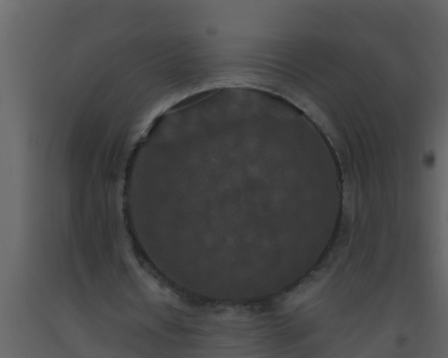 X0000093530434200710191356
