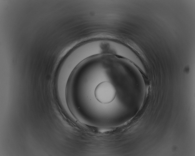 X0000093530436200710191356