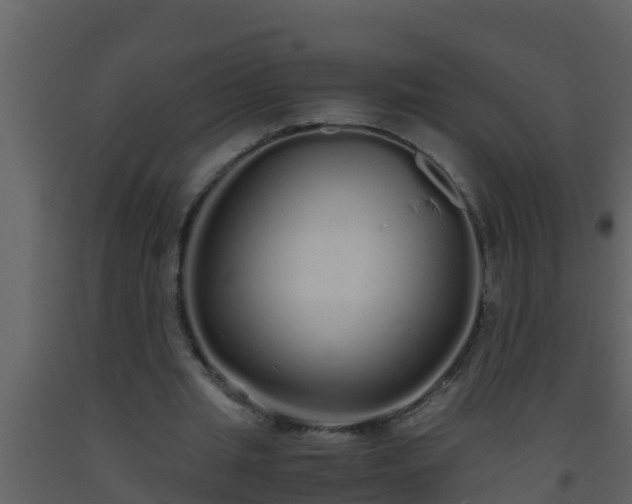 X0000093530437200710191357