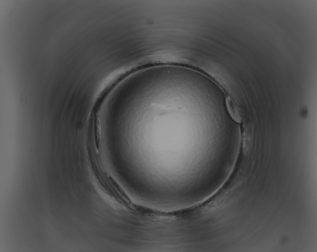 X0000093530438200710191357