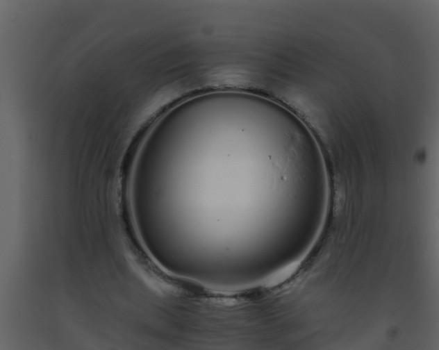 X0000093530439200710191357