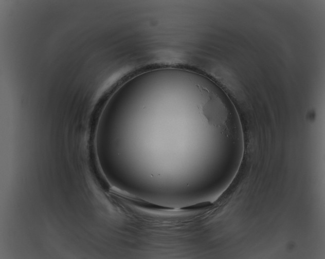 X0000093530440200710191357