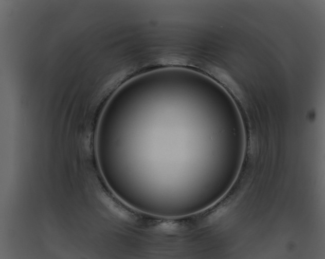 X0000093530441200710191357