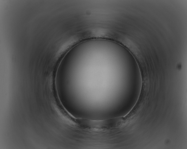 X0000093530442200710191357