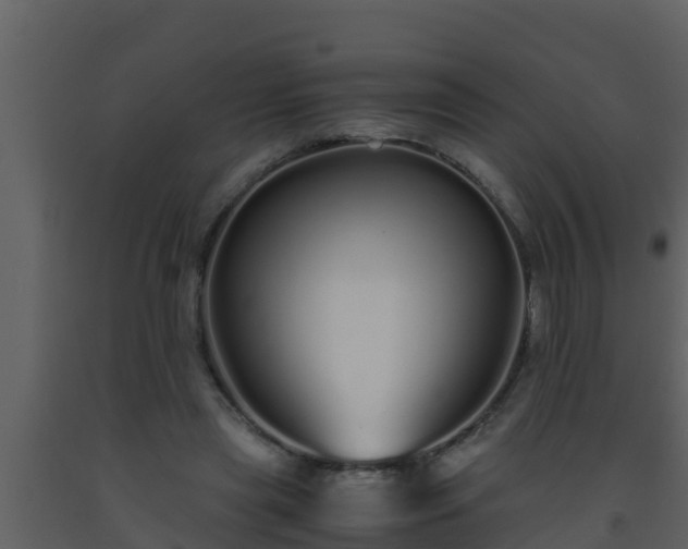 X0000093530445200710191357