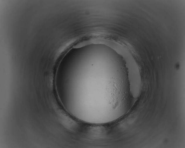 X0000093530446200710191357