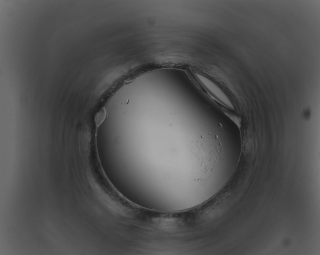 X0000093530448200710191357