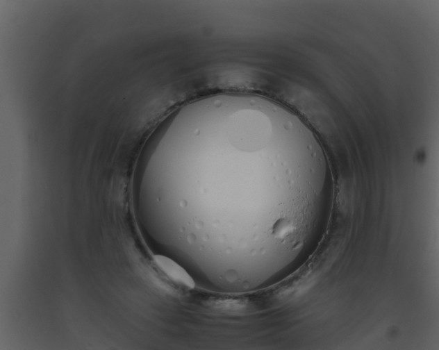 X0000093530449200710191357