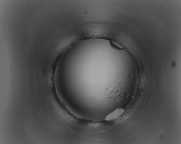 X0000093530450200710191357