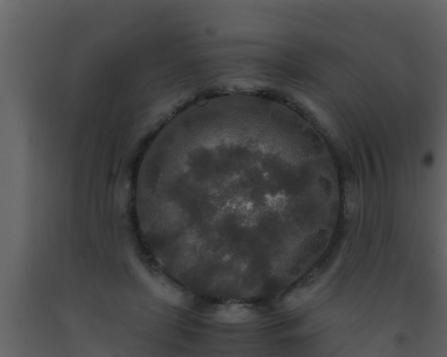 X0000093530451200710191357
