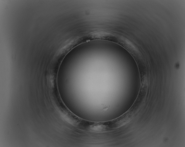 X0000093530452200710191357