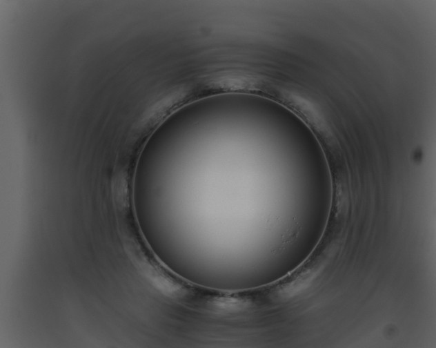 X0000093530453200710191357